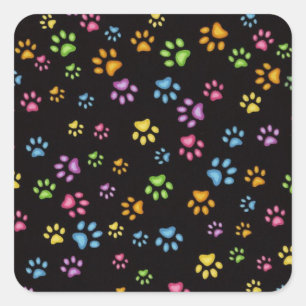 Paws Square Sticker