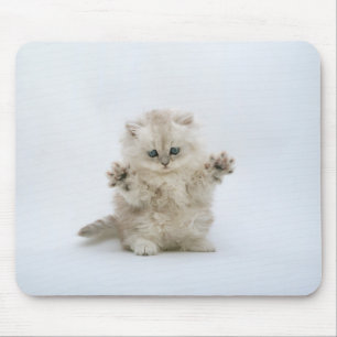 Paws up mouse mat