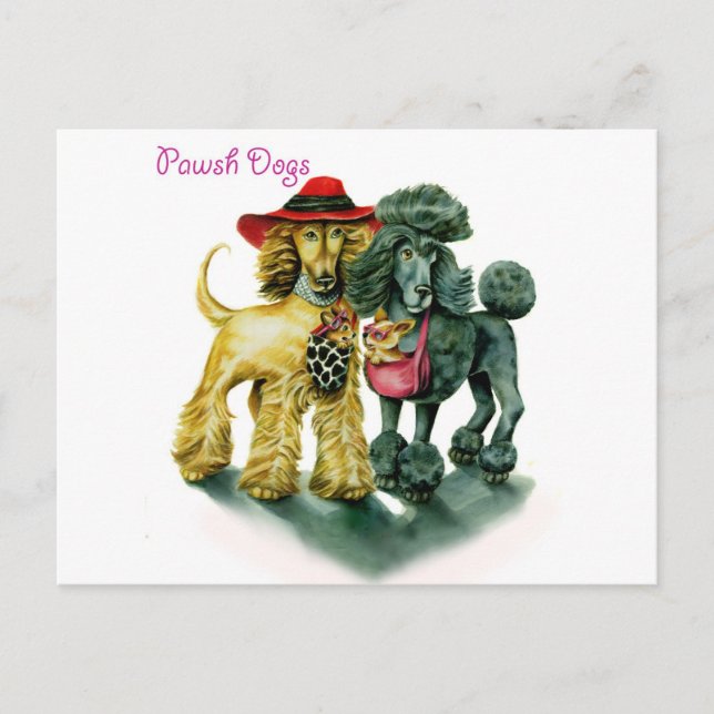 Pawsh Dogs Postcard (Front)