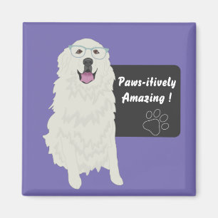 Pawsitively Amazing Education Sticker Magnet