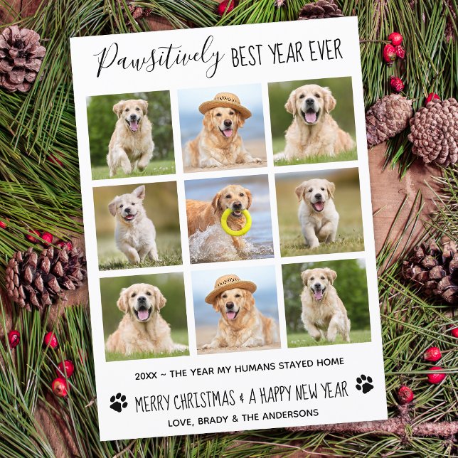 Pawsitively Best Year Ever Dog Pet Photo Collage Card (Creator Uploaded)