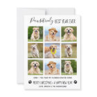 Pawsitively Best Year Ever Dog Pet Photo Collage H