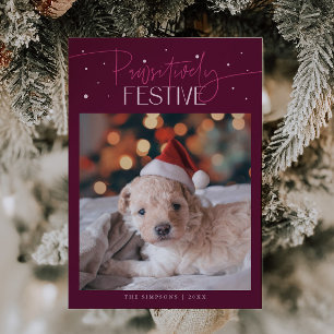 Pawsitively Festive Dog Photo Cranberry Christmas  Holiday Card