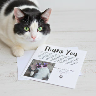 Pawsitively Grateful Custom Photo Thank You Card