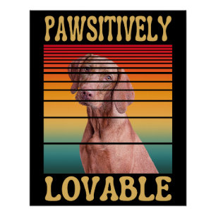 PAWSITIVELY LOVABLE POSTER