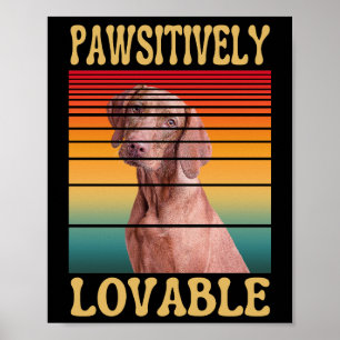 PAWSITIVELY LOVABLE POSTER