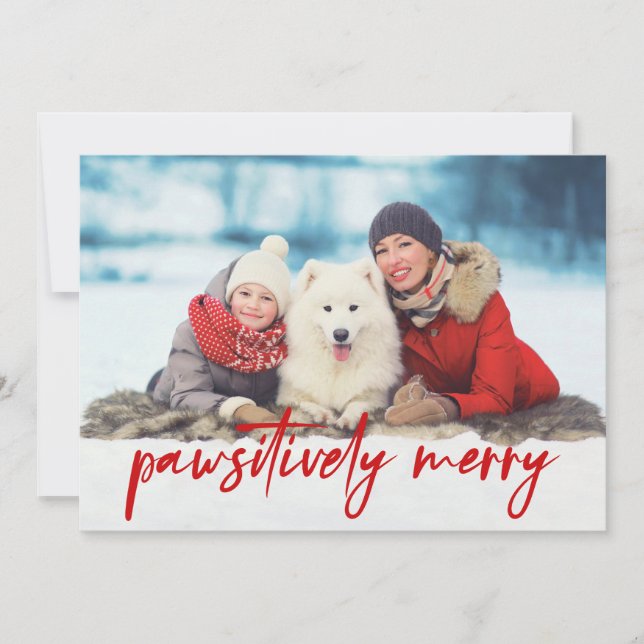 Pawsitively Merry 3 Photo Pet Holiday Card (Front)