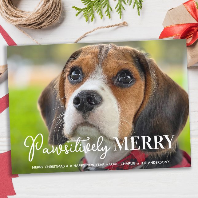 Pawsitively Merry Custom Pet Dog Photo Christmas Holiday Card (Creator Uploaded)