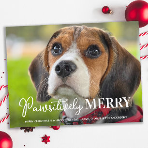 Pawsitively Merry Custom Pet Dog Photo Christmas Holiday Postcard