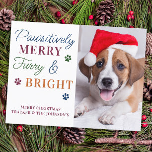 Pawsitively Merry Custom Pet Photo Furry & Bright  Holiday Postcard