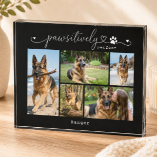 Pawsitively Perfect Black Pet Five Photo Keepsake Block