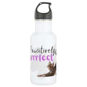 Pawsitively Purrrfect 532 Ml Water Bottle