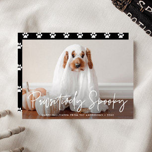 Pawsitively Spooky Halloween Pet Photo Holiday Card