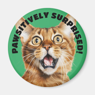 PAWSITIVELY SURPRISED! Funny Crazy Cat Green Magnet