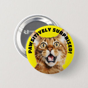 PAWSITIVELY SURPRISED! Funny Crazy Cat Yellow 6 Cm Round Badge