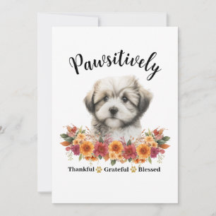 Pawsitively Thankful Grateful Blessed Cute Dog Card