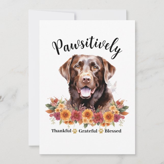 Pawsitively Thankful Grateful Blessed Cute Dog Card (Front)