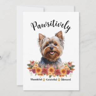 Pawsitively Thankful Grateful Blessed Cute Dog Card