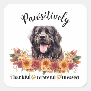 Pawsitively Thankful Grateful Blessed Cute Dog Square Sticker