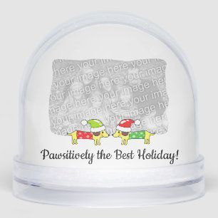 Pawsitively the Best Holiday – Dog Design Snowglobe