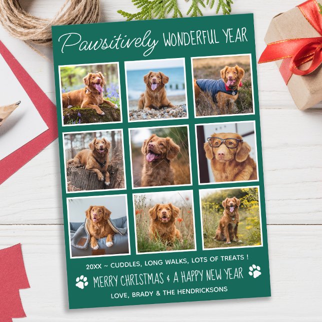 Pawsitively Wonderful Year Cute Collage Pet Photo Holiday Card (Creator Uploaded)