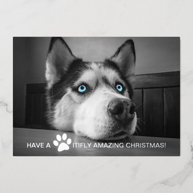 Pawsitivly Amazing Christmas Custom Dog Photo Foil Holiday Card (Front)