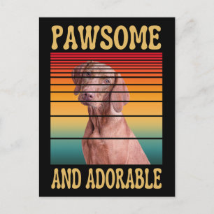 PAWSOME AND ADORABLE POSTCARD