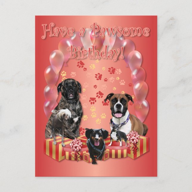 Pawsome Birthday Card (Front)