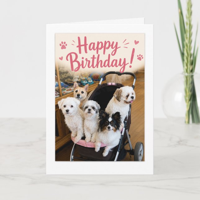 Pawsome Birthday Five Dogs Greeting Card (Front)