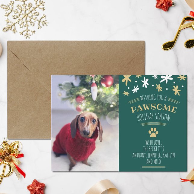 Pawsome Holiday Season Pet Holiday Photo (Creator Uploaded)