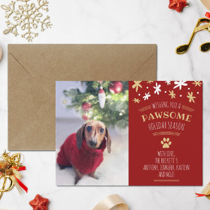 Pawsome Holiday Season Pet Holiday Photo