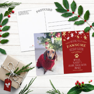 Pawsome Holiday Season Pet Holiday Photo Announcement Postcard