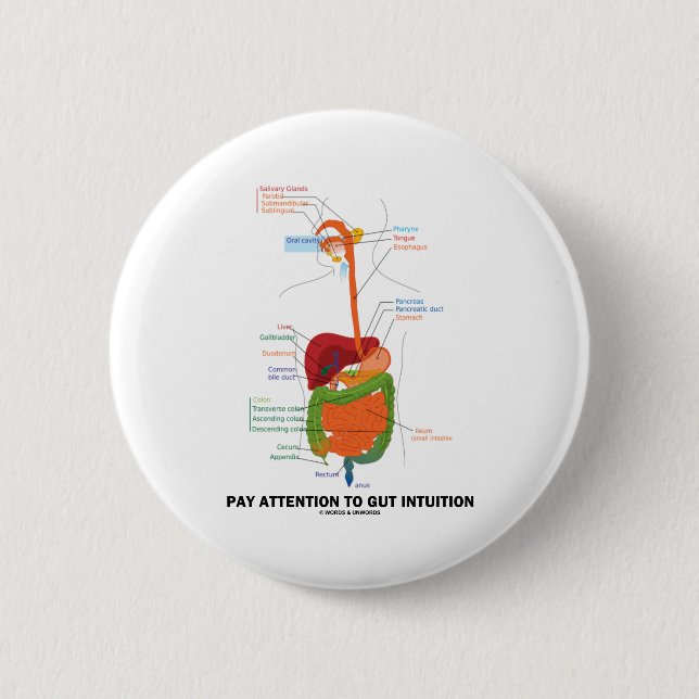 Pay Attention To Gut Intuition (Digestive System) 6 Cm Round Badge (Front)