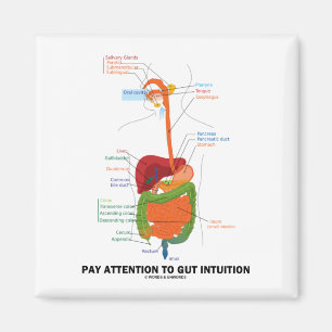 Pay Attention To Gut Intuition (Digestive System) Magnet