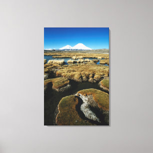 Payachalas Volcanos Canvas Print