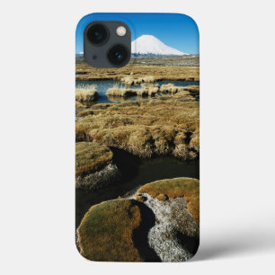 Payachalas Volcanos iPhone 13 Case