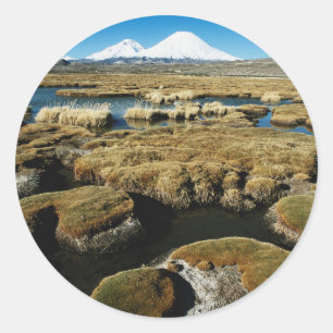 Payachalas Volcanos Classic Round Sticker