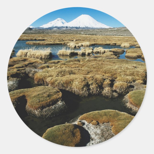 Payachalas Volcanos Classic Round Sticker (Front)