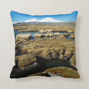 Payachalas Volcanos Cushion