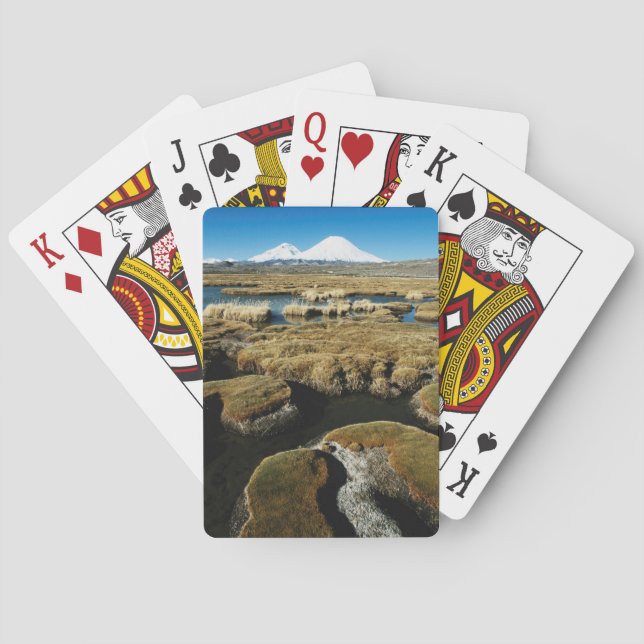 Payachalas Volcanos Playing Cards (Back)