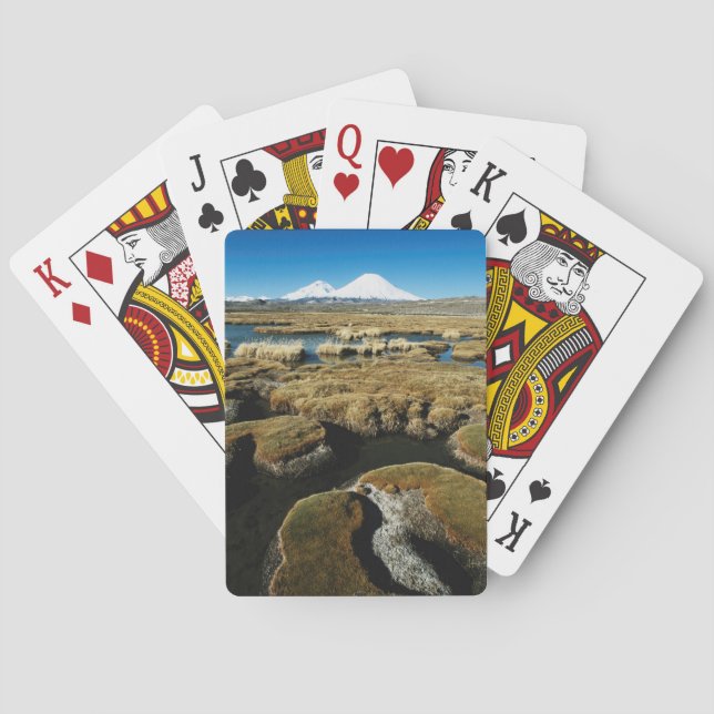 Payachalas Volcanos Playing Cards (Back)