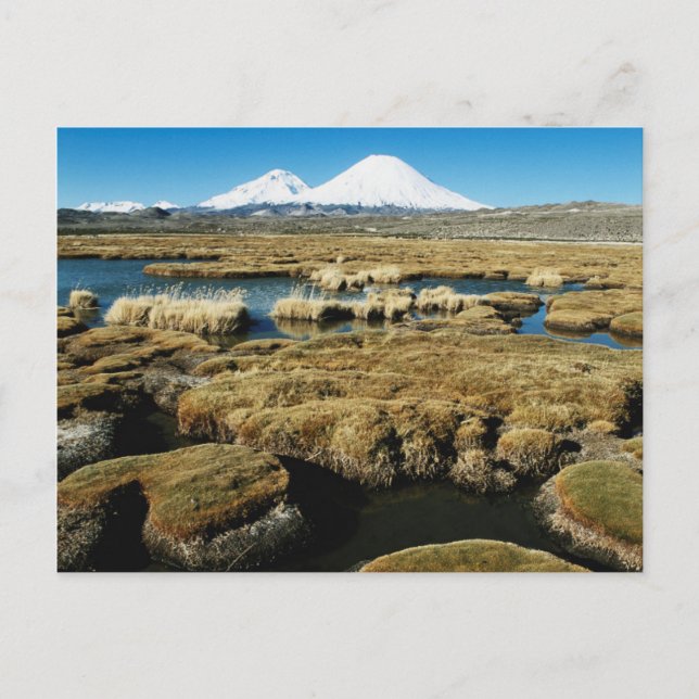 Payachalas Volcanos Postcard (Front)
