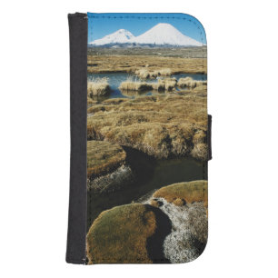 Payachalas Volcanos Samsung S4 Wallet Case
