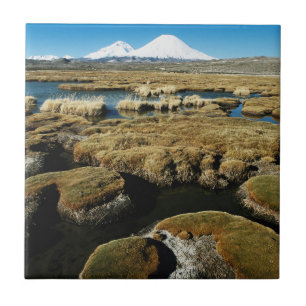 Payachalas Volcanos Tile