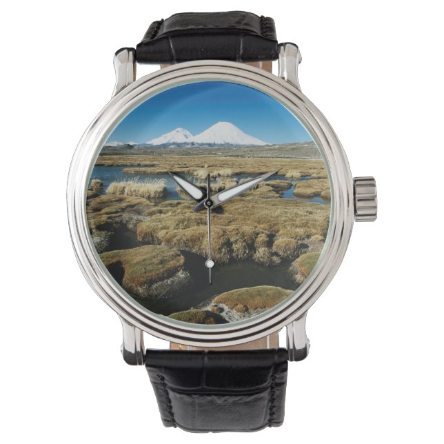 Payachalas Volcanos Watch (Front)