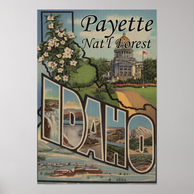 Payette Nat'l Forest, Idaho - Large Letter Scene Poster (Front)