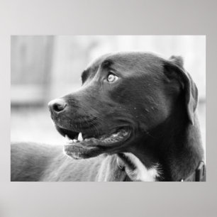 Paying attention poster