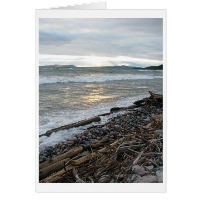pb waves (Front)