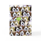 PBGV Dogs Funny Birthday