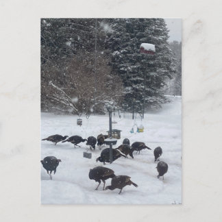 PC winter party gathering get-together meeting fun Postcard